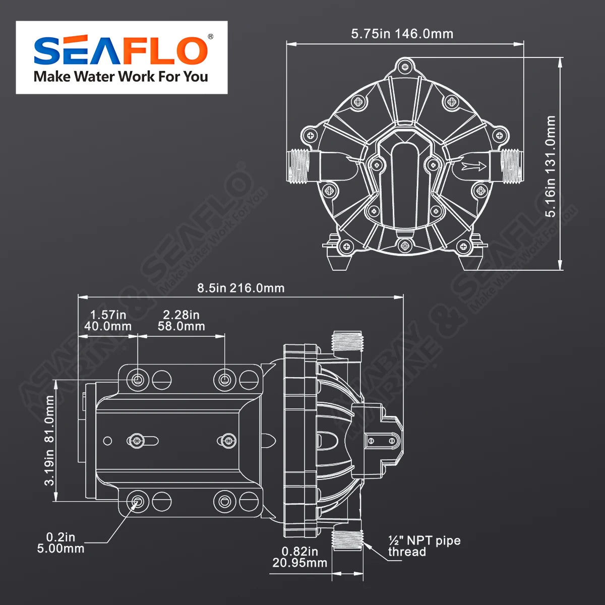 SEAFLO 55 Series Diaphragm Water Pump Our heavy-duty washdown kit 5.0GPM 60PSI 12V with 6.5m Coiled Hose On-Board