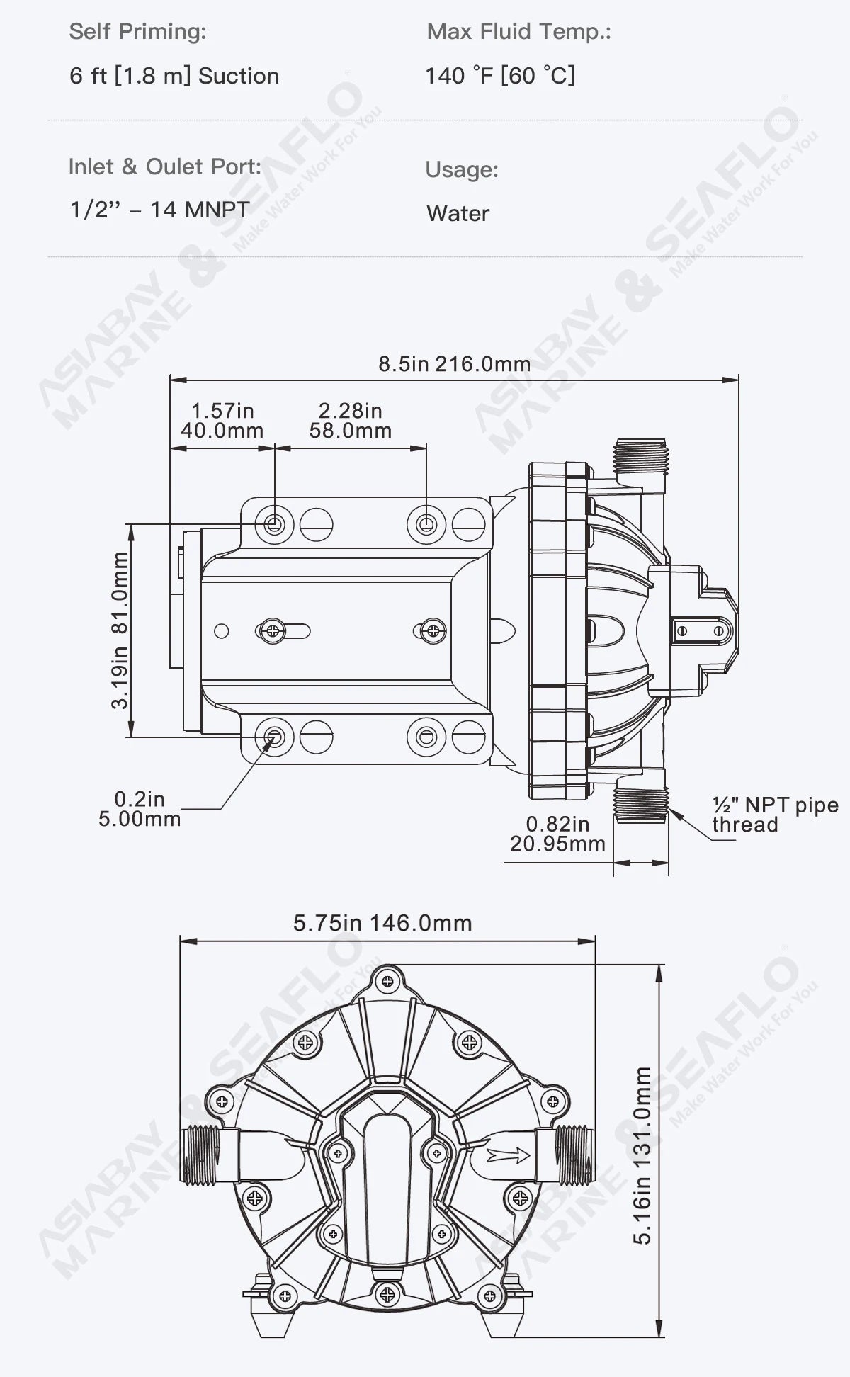 SEAFLO 55 Series Diaphragm Water Pump Our heavy-duty washdown kit 5.0GPM 60PSI 12V with 6.5m Coiled Hose On-Board