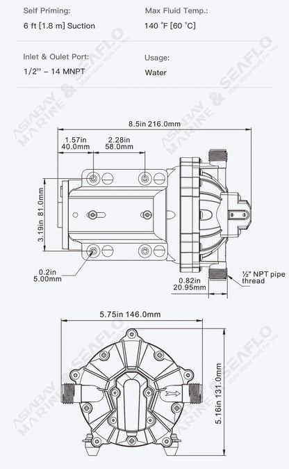 SEAFLO 55 Series Diaphragm Water Pump Our heavy-duty washdown kit 5.0GPM 60PSI 12V with 6.5m Coiled Hose On-Board